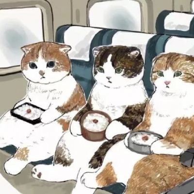 小米运动健康App接入蚂蚁阿福：支持AI初步健康建议