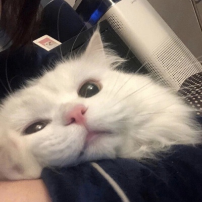 阿里健康推出AI产品“氢离子”